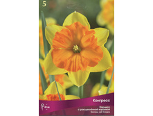 ������� ��������.jpg