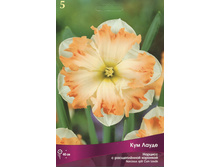 ������� ��� �����.jpg