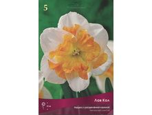 ������� ��� ���.jpg