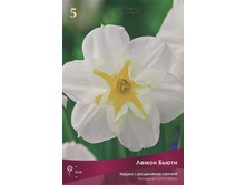 ������� ����� �����.jpg