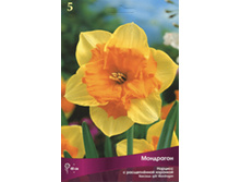 ������� ���������.jpg