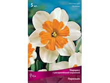 ������� ���������.jpg