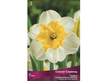 ������� ������ �������.jpg