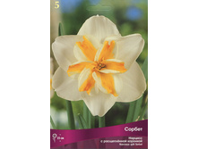 ������� ������.jpg