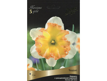 ������� ������.jpg