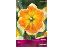 ������� ���������.jpg