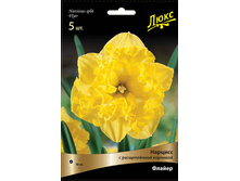 ������� ������.jpg