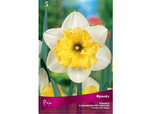 ������� ���̣�.jpg