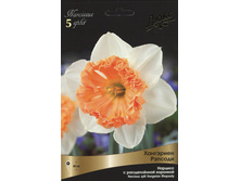 ������� ��������� �������.jpg