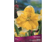 ������� ���������.jpg