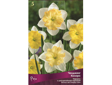 ������� �������� ������.jpg