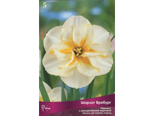 ������� ������ �������.jpg