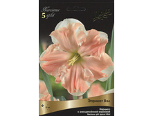 ������� ������� ���.jpg