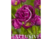 15,75���. ������� ������� (��� 10 ��. ���������� ������ 5��.).jpg