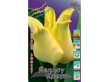 16,38���. ������� ������ ����� (��� 10 ��. ���������� ������ 5��.).jpg