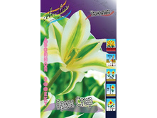 17,01���. ������� ���� ���� (��� 10 ��. ���������� ������ 5��.).jpg