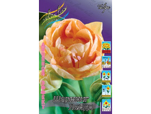 19,43���. ������� ������� ����� (���������� �� ����� �������� �� 7��.).jpg