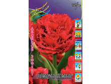 19,53���. ������� ���� ���� (��� 10 ��. ���������� ������ 5��.).jpg