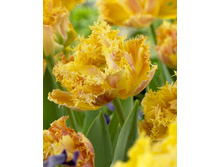 20,16���. ������� ������ (��� 10 ��. ���������� ������ 5��.).jpg