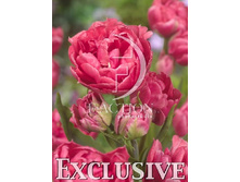 20,79���. ������� ������� (��� 10 ��. ���������� ������ 5��.).jpg