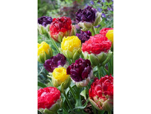 216,13���. ������� ��� �� ����� (�������������� ����������, � ��. 3��.).jpg