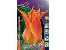 22,05���. ������� ���������� (��� 10 ��. ���������� ������ 5��.).jpg