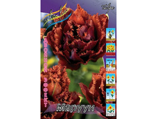 23,31���. ������� ������ (��� 10 ��. ���������� ������ 5��.).jpg