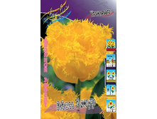 30,51���. ������� ��� ���� (�������� ���� �� 7 ��., ����������� ����� 1��.).jpg