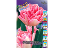 10,97���. ������� �������� (��� 10 ��. ���������� ������ 5��.).jpg