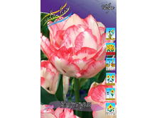 12,23���. ������� ������ (��� 10 ��. ���������� ������ 5��.).jpg