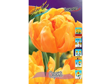 12,61���. ������� ���� (��� 10 ��. ���������� ������ 5��.).jpg