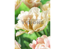 16,38���. ������� ���� ���� (��� 10 ��. ���������� ������ 5��.).jpg