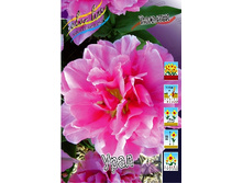 17,01���. ������� ���� (��� 10 ��. ���������� ������ 5��.).jpg