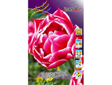 20,16���. ������� �������� (��� 10 ��. ���������� ������ 5��.).jpg