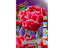 ����� 14,5���. ������� ���������� (��� 10 ��. ���������� ������ 5��.).jpg