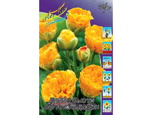 9,71���. ������� ����� ����� �� ��������� (���������� ������ ������ ���������� �� 10 ��.).jpg