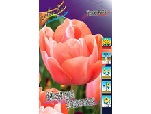 10,72���. ������� ������ ������� (��� 10 ��. ���������� ������ 5��.).jpg