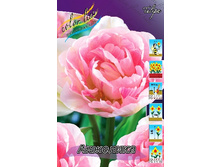 12,61���. ������� �������� (��� 10 ��. ���������� ������ 5��.).jpg