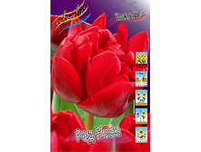 15���. ������� ��� ���� (��� 10 ��. ���������� ������ 5��.).jpg