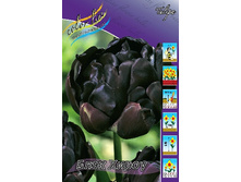 20,16���. ������� ���� ����� (��� 10 ��. ���������� ������ 5��.).jpg