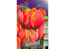 20,16���. ������� �������� (��� 10 ��. ���������� ������ 5��.).jpg