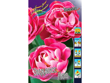 21,7���. ������� ������� ��� (���������� �� ����� �������� �� 7��.).jpg