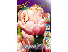 23,94���. ������� �� ����� ���� (��� 10 ��. ���������� ������ 5��.).jpg