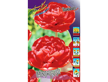 8,9���. ������� ������� (���������� ������ ������ ���������� �� 10 ��.).jpg