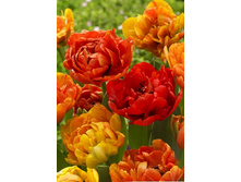 9,46���. ������� �������� (���������� ������ ������ ���������� �� 10 ��.).jpg