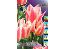 9,46���. ������� ������ (���������� ������ ������ ���������� �� 10 ��.).jpg