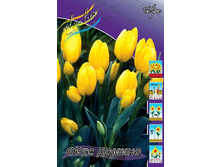 10,72���. ������� ���� ������ (��� 10 ��. ���������� ������ 5��.).jpg