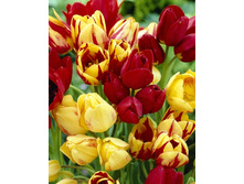 14,5���. ������� ��������������, ����� (��� 10 ��. ���������� ������ 5��.).jpg