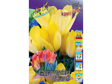 16,38���. ������� ������� ���� (��� 10 ��. ���������� ������ 5��.).jpg