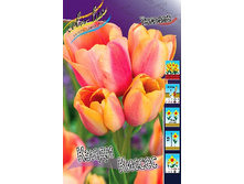 17,01���. ������� ����� ������ (��� 10 ��. ���������� ������ 5��.).jpg